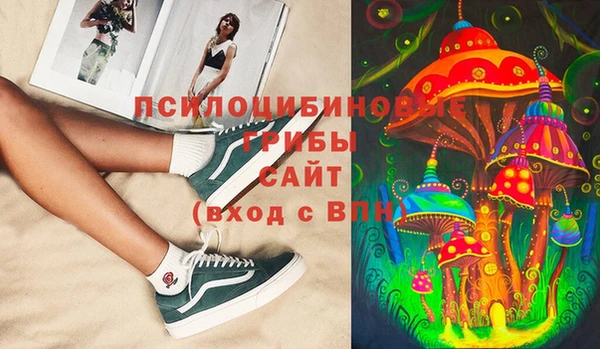mdma Новодвинск