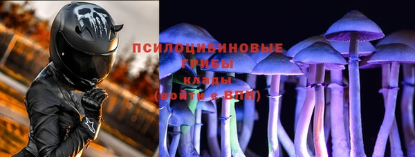mdma Новодвинск