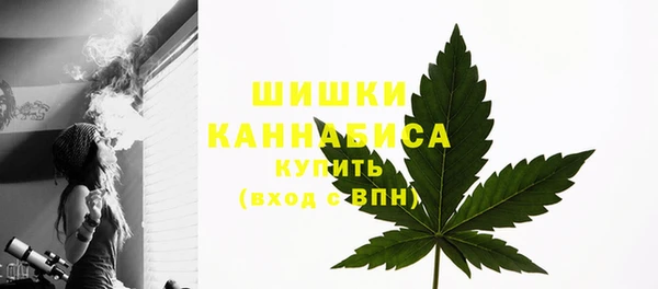 мяу мяу мука Новозыбков