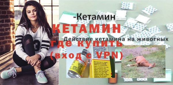 мяу мяу мука Новозыбков