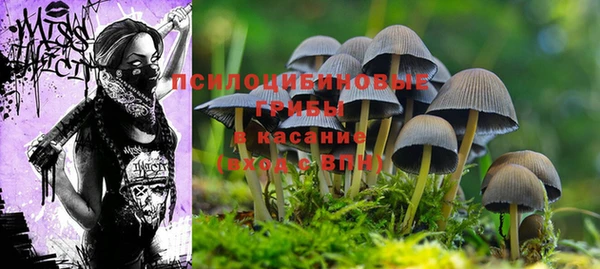 мяу мяу мука Новокубанск