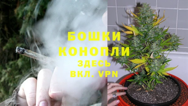мяу мяу мука Новозыбков
