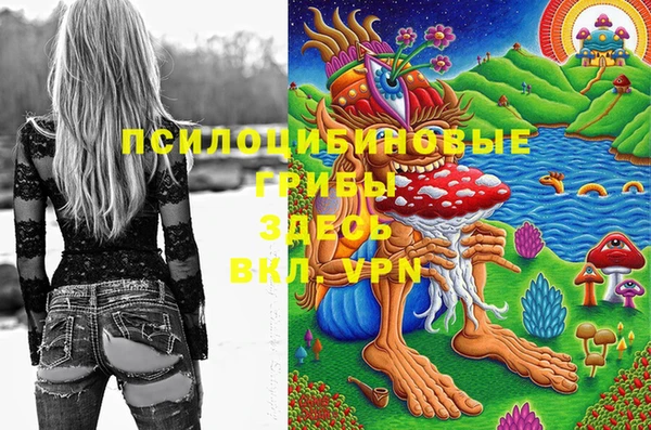 мяу мяу мука Новозыбков